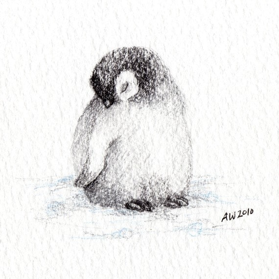 Items similar to Little Penguin Chick - Original Pencil Drawing on Etsy