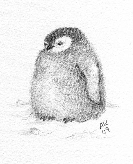 Penguin chick original pencil sketch