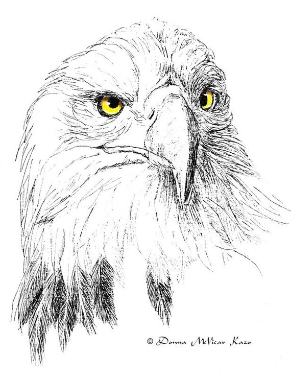  Bald Eagle Face Ink Drawing Notecards Set of Two