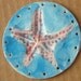 SALE Starfish Basket Base