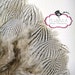 20-30 PCS / Silver Grey / Strung Silver Pheasant Feathers / Dyed