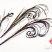 3 pcs - PEACOCK CURL, naturally dyed, Purple 6-9 inches tall : 000