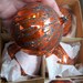 Box of 6 West Germany Glass Ornaments Glitter Orange Large Christmas decoration