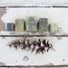 Collection of Small Printing Press Photography Blocks
