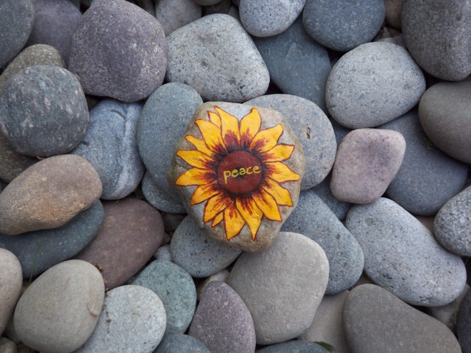 Sunflower Peace Rock Greeting Card