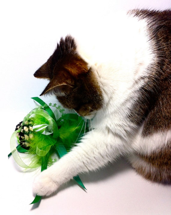 Green Alligator Cat Toy for Cats catnip by CatInTheBoxCreations