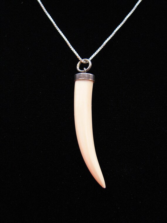 Vintage Sterling Silver and Large Animal Fang Tooth Pendant