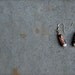 peruvian wooden earrings