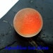 Orange Sea Glass Marble From Puerto Rico Totally Frosted FREE Shipping (674)