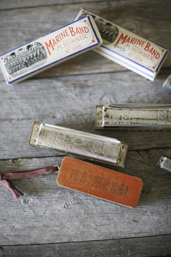 antique german harmonica collection
