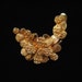 Gold Plated Cactus Brooch
