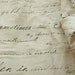 The Classic, 10 Yards of Shakespeares Sonnet on Linen gauze, U2732