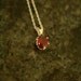 Stunning Garnet and Sterling Necklace