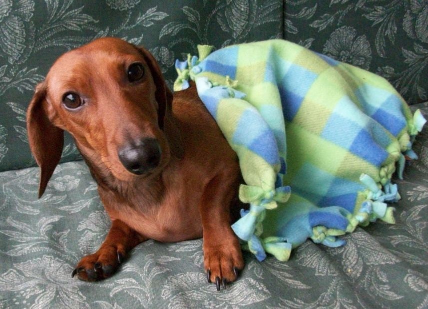 Blue and Green Plaid Dog Chewing Blanket by MuttMania on Etsy