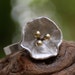 Flower ring with bronze stamens