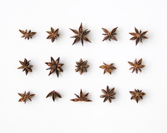 Star Anise Collection. 8x10. Fine Art Photographic Print. Minimal. Natural Home Decor. Indoor garden botanical. Kitchen
