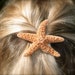 Sugar Starfish Barrette