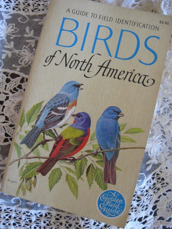 Vintage Golden Guide Birds Of North America 1966 Edition