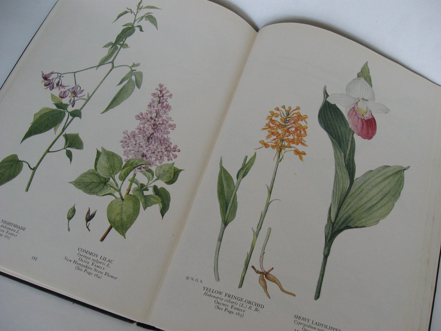 The Book of Wild Flowers by National Geographic 1924 HB RARE
