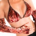 Rich Burgundy Velvet TOP