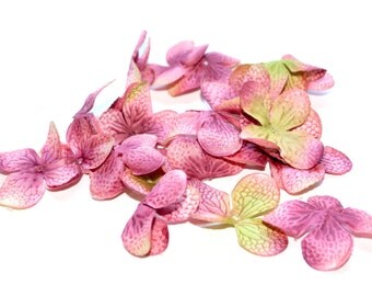 100 Hydrangea Blossoms in Mauve Pink - PRE-ORDER