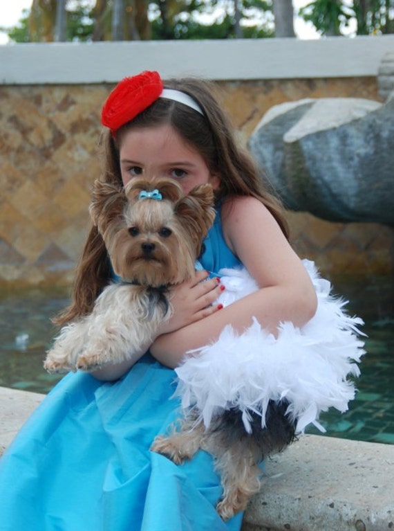 Dog Dress Feather Harness Wedding Dress Baby Blue