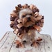 Lion Dog Costume - Saved for Christen