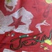Vintage Texas State Souvenir Scarf in Sheer Red