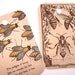 Primitive Bee Tags - Set of 8 - Vintage Bee Tags - Bee Gift Tags - Honeybee Tags - Thank Yous - Merchandise Tags - Garden Tags