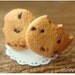 Sweet Chocolate Chunk Cookies - Earring Posts