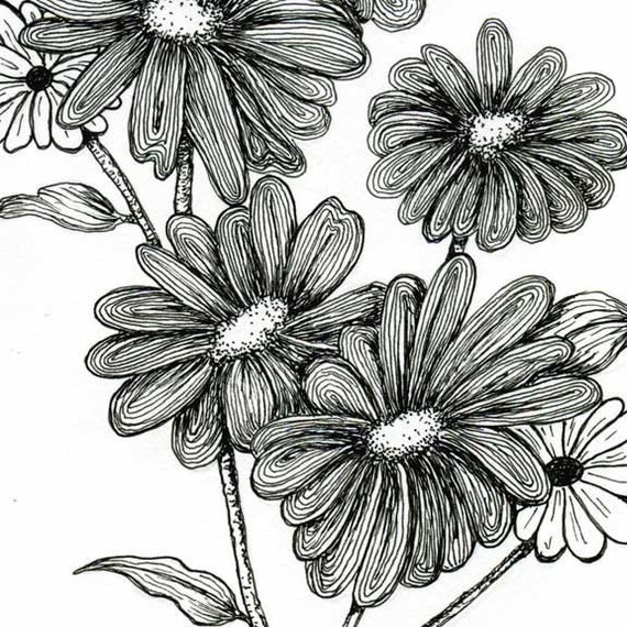 Items similar to Corn Flowers Original Pen and Ink drawing on Etsy