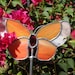 Stained Glass Butterfly-Orange-Garden-Outdoors