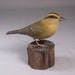Worm-eating Warbler Bird Carving Wood