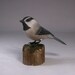 Mountain Chickadee Hand Carved and Hand Painted Wooden Bird