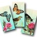 Paradise 1x2 inch Domino Tiles, Digital Collage Sheet, Download and Print Jpeg Images