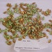 10/5mm Muggle Green Navette 286pc