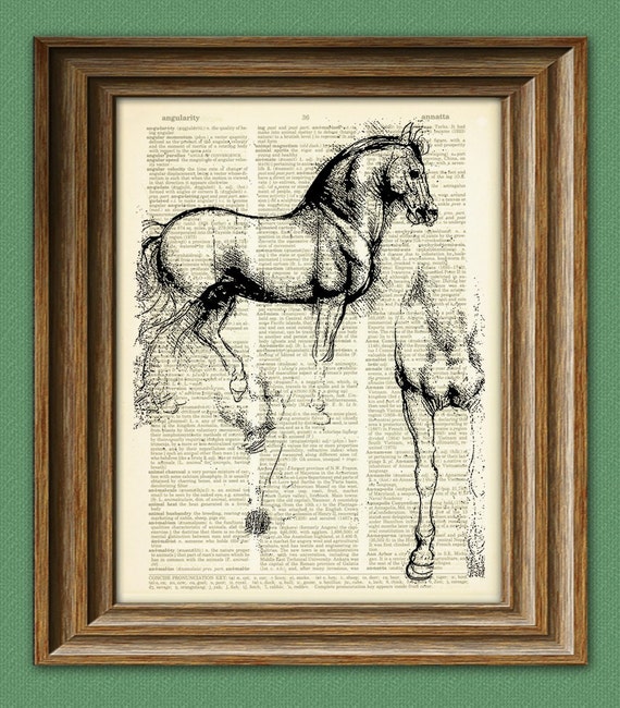 Download Horse Art Print Study of Horse from Leonardo Da Vinci sketch