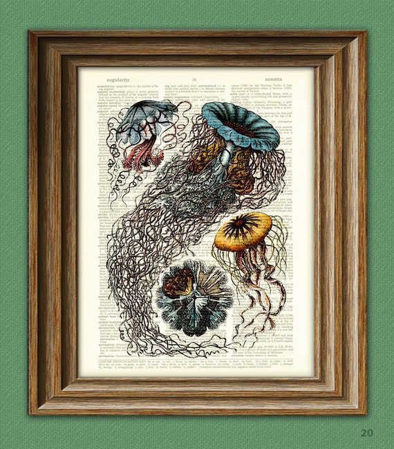 The Beautiful Jellyfish Of The Ocean Illustration Upcycled