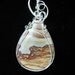 High Desert Beauty an Owhyee Picture Jasper Pendant in Sterling Silver