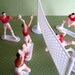 Reserved for PETRA Volleyball Set Cake Decorations 7 Piece Set Beach