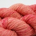 Shellycoat - hand dyed merino / nylon Nixie Sock yarn - 100g
