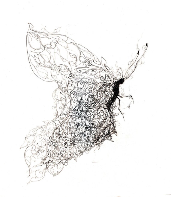 butterfly art print black and white ink drawing insect art