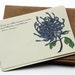 Thank You, Thank You -Set of 10 flat Notecards and Envelopes
