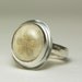 Sand Dollar Ring Sterling Silver Natural Sea Biscuit Fossil Handmade-made to order in your size
