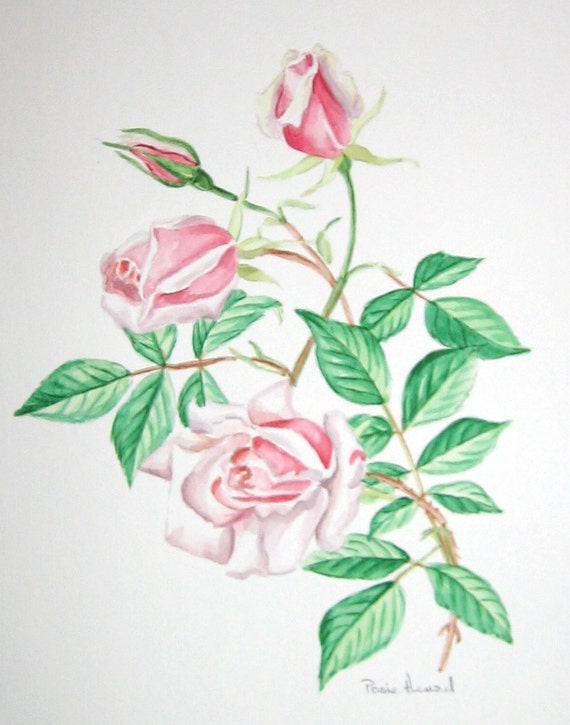 roses watercolor original botanical painting - a rose bouquet