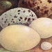 1910 bird eggs original antique print