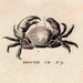 1812 sea life original antique engraving - grub clawed and bristly crabs