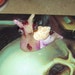 Zombie Snail - Julia