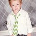 Little Guy Necktie Tie - CHEVRON Collection - (2T- 4T) - Baby Boy Toddler - Wedding - Photo Prop