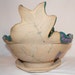 Double Leaf Flowerpot